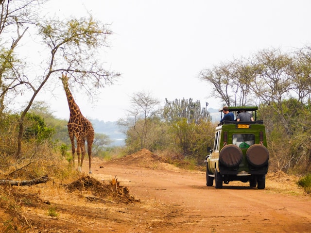 Tanzania Safari Tour Itineraries