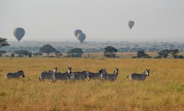 Ultimate Guide to Tanzania All‑Inclusive Tours