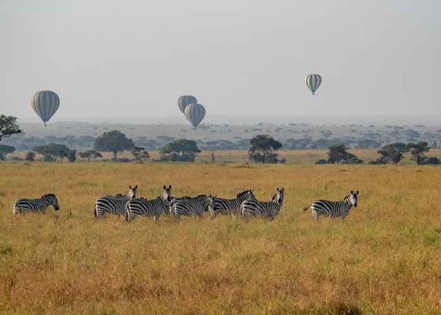 Ultimate Guide to Tanzania All‑Inclusive Tours