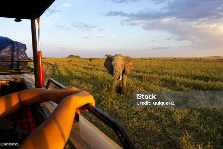 safari vehicle Ngorongoro Crater group