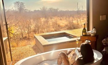 15 Best Tanzania Safari Tours from Moshi & Karatu
