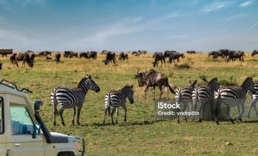 3-Day Selous Budget Tour
