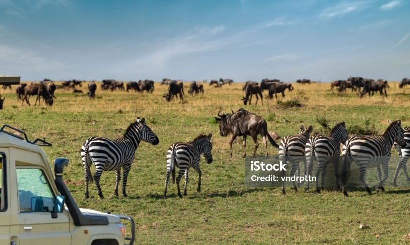 3-Day Selous Budget Tour