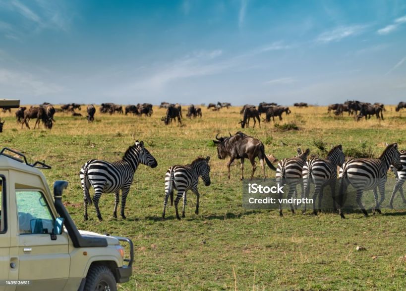 3-Day Selous Budget Tour