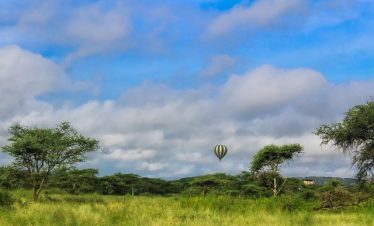 4 days Ruaha Luxury Safari
