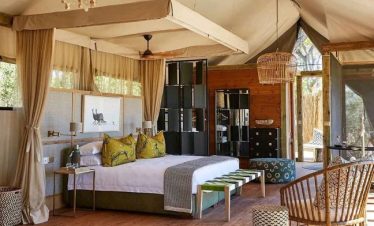 5 Best Ngorongoro Safari Tours 2026-2028-