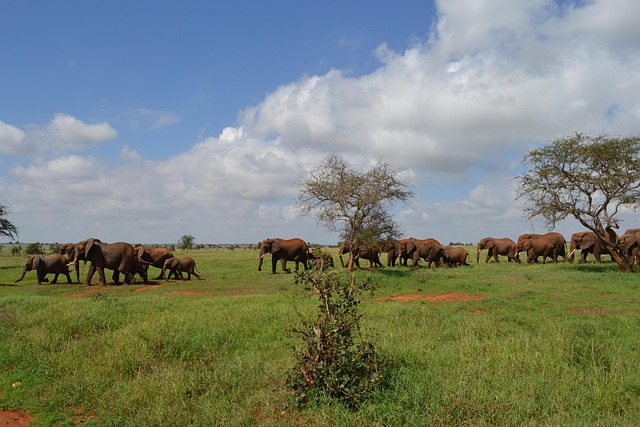 6 Days Masai Mara & Zanzibar Beach Tour
