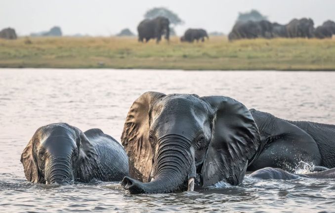 Guide to Uganda All-Inclusive Safari Tours