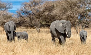 Kidepo Valley National Park