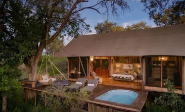 Our 5 Best Tanzania Serengeti Tours