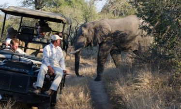 Our Best 5 Tanzania Family Safari Tours