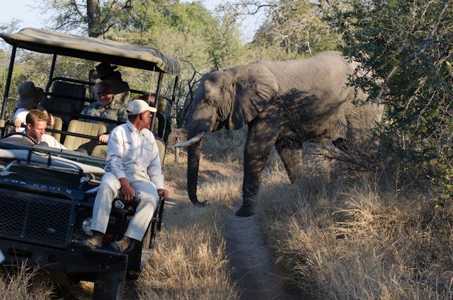 Our Best 5 Tanzania Family Safari Tours