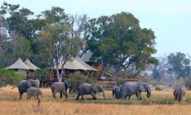 Top 10 Best Tanzania All-Inclusive Safari Tours