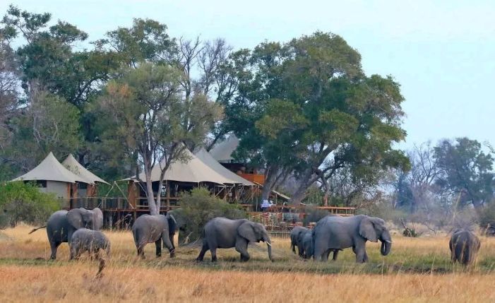 Top 10 Best Tanzania All-Inclusive Safari Tours