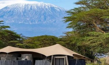 Top 5 Southern Tanzania Safari Tours