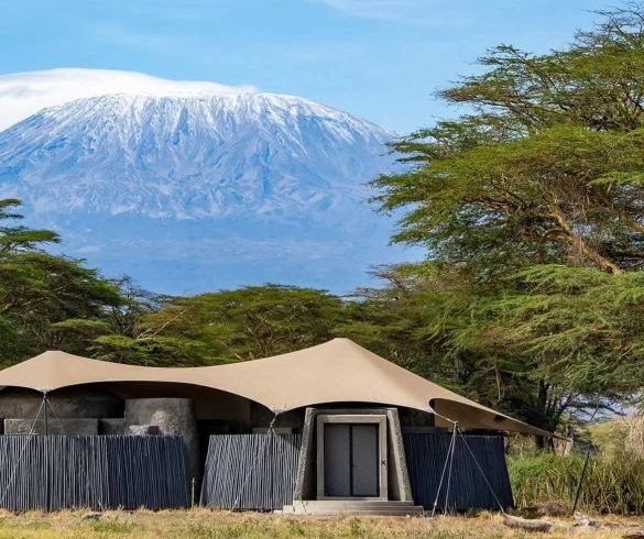 Top 5 Southern Tanzania Safari Tours