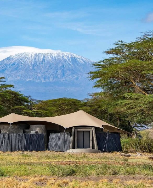Top 5 Southern Tanzania Safari Tours