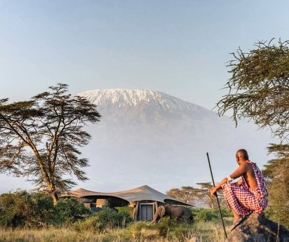 Top 5 Tarangire & Lake Manyara Safari Tours