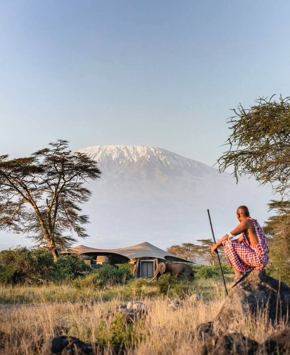 Top 5 Tarangire & Lake Manyara Safari Tours