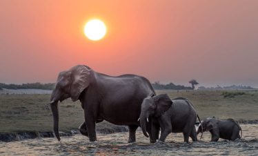 Uganda Affordable Safari Tours