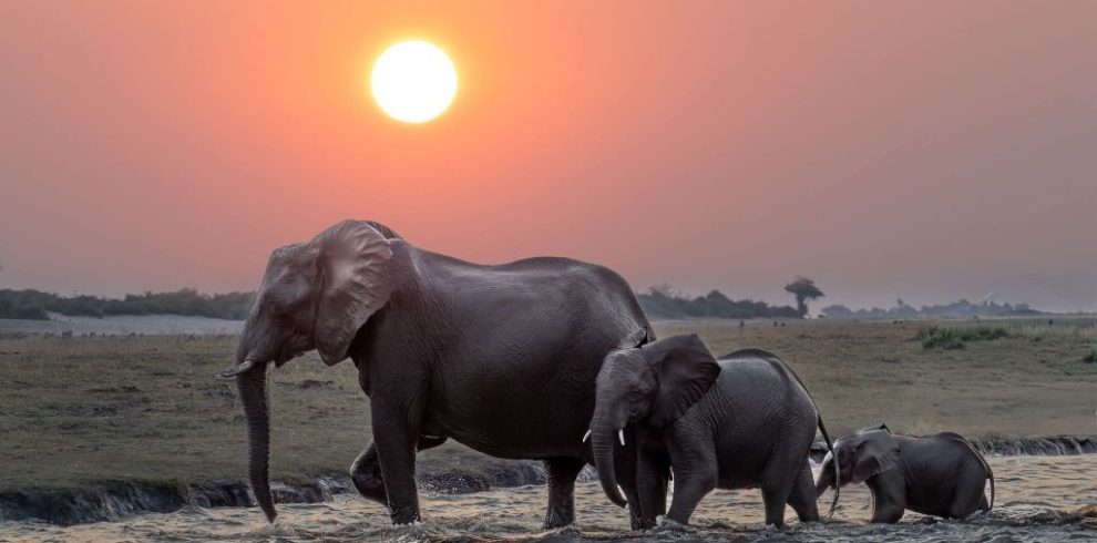 Uganda Affordable Safari Tours