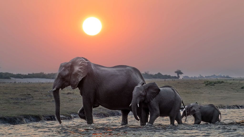 Uganda Affordable Safari Tours