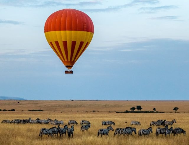 6 Days Kenya Tanzania Luxury Safari Tour
