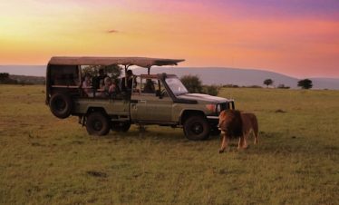 7 Days Kenya Tanzania Family Safari Tour