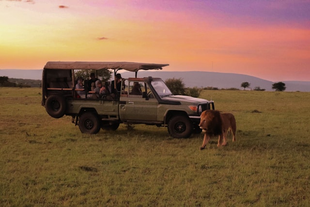 7 Days Kenya Tanzania Family Safari Tour