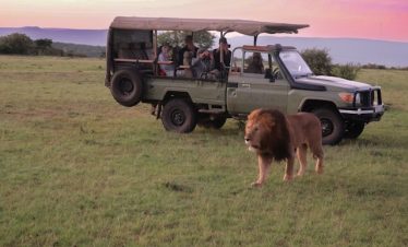 7 Days Tanzania Kenya All Inclusive Luxury Safari Tour