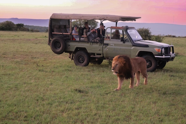 7 Days Tanzania Kenya All Inclusive Luxury Safari Tour