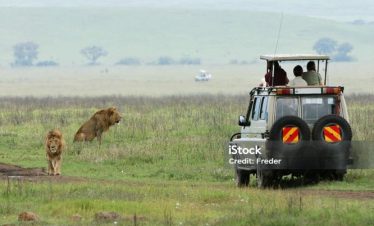 8 Days Kenya Uganda Gorilla Trekking Safari Tours