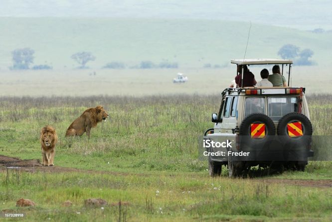 8 Days Kenya Uganda Gorilla Trekking Safari Tours