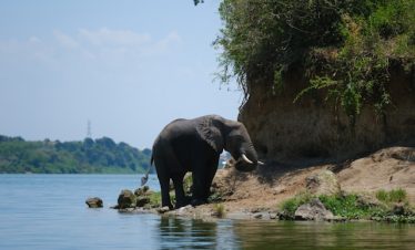 8 Days Uganda Budget Group Safari Tour
