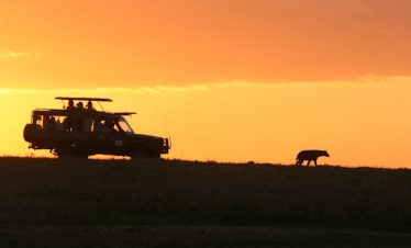 9 Days Kenya Big Five & Uganda Gorilla Budget Safari Tour