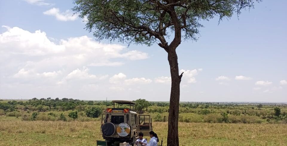 13 Days Combined Kenya Tanzania Uganda Group Tour