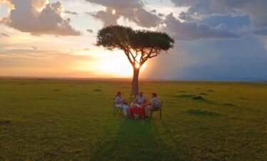 14 Days Combined Kenya Tanzania Uganda Group Safaris