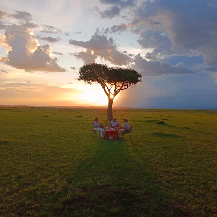 14 Days Combined Kenya Tanzania Uganda Group Safaris