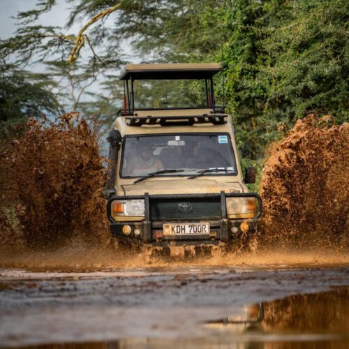 Kenya Tanzania safari route map combining Masai Mara Serengeti and Ngorongoro"
