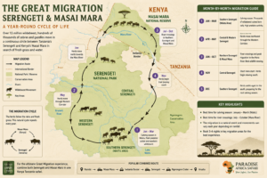 alt="Great Migration route map between Serengeti National Park and Masai Mara showing wildebeest migration seasons, Mara River crossings and Ndutu calving season"
